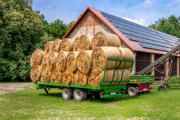 Ein Anhänger mit Heuballen steht vor einer Scheune auf dem Feld