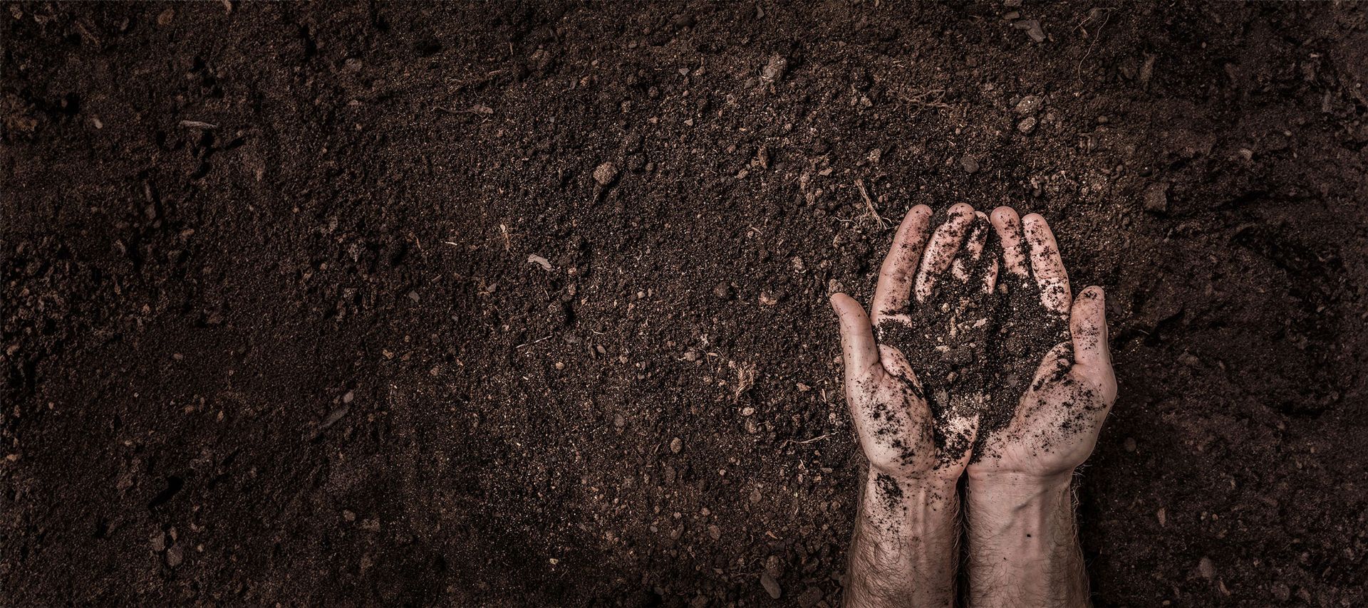 Zwei Hände liegen auf der Erde und halten Erde