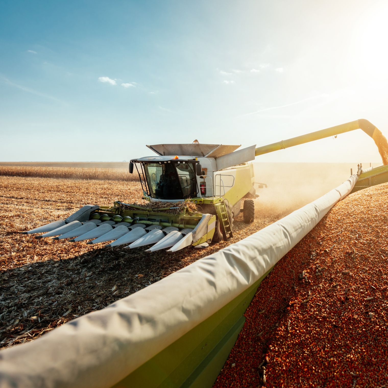 Landmaschine trägt das Feld ab